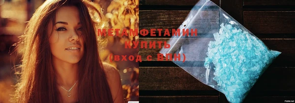 индика Каменногорск