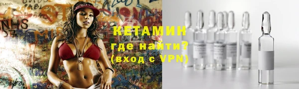 индика Каменногорск