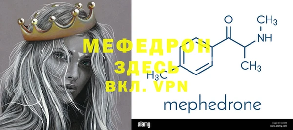 индика Каменногорск