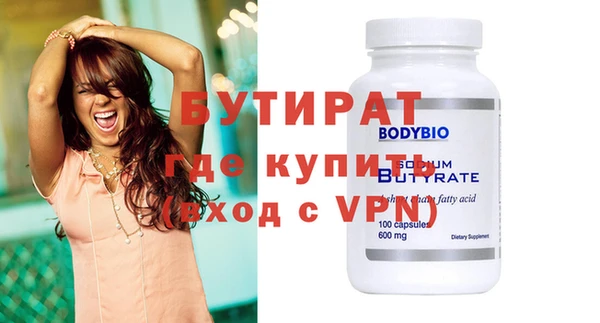 индика Каменногорск