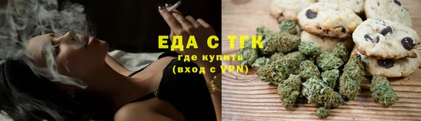индика Каменногорск
