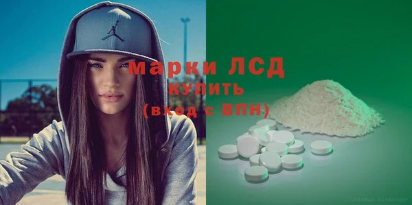индика Каменногорск