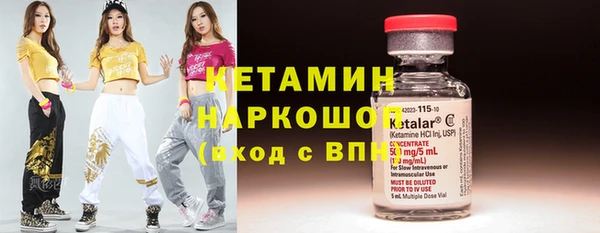 индика Каменногорск