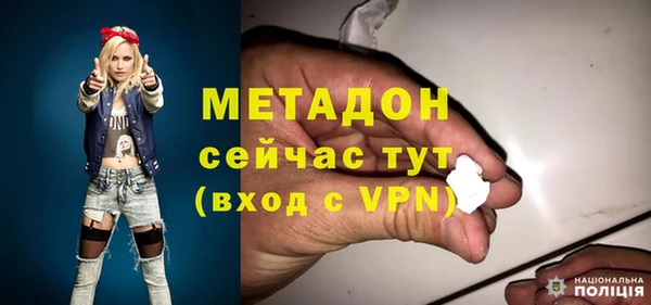 индика Каменногорск