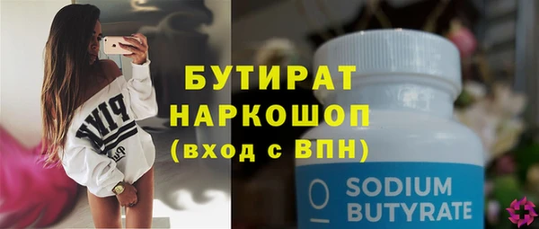 индика Каменногорск