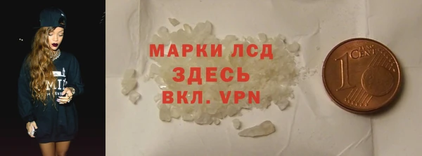 индика Каменногорск