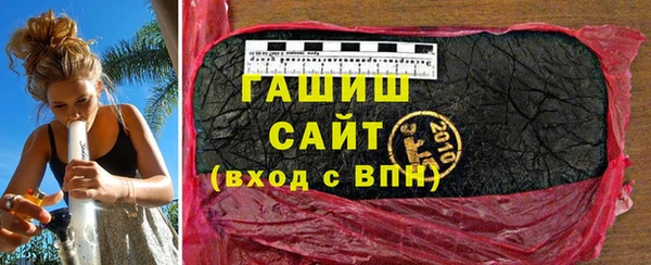 индика Каменногорск