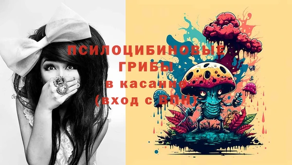 индика Каменногорск