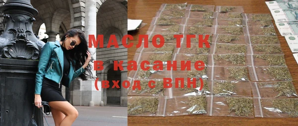 индика Каменногорск
