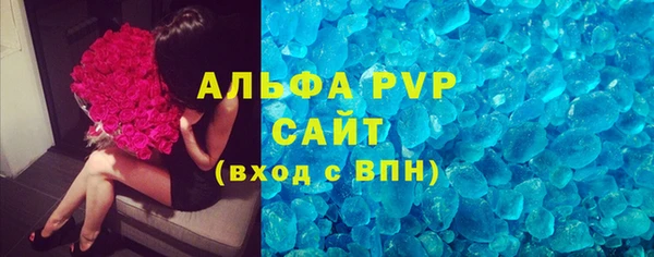 индика Каменногорск