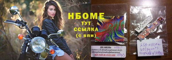 индика Каменногорск