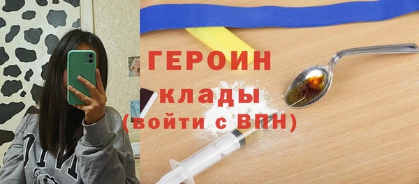 индика Каменногорск