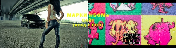 индика Каменногорск