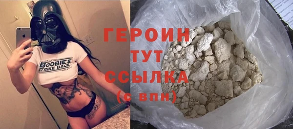 индика Каменногорск