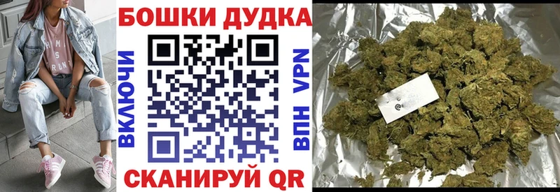 Купить закладки  Дмитровск  Шишки марихуана AK-47 